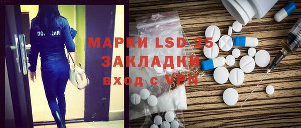 прущие грибы Баксан