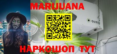 крисы Краснознаменск