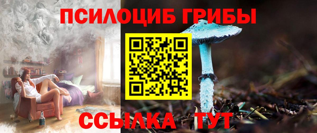 Псилоцибиновые грибы MAGIC MUSHROOMS Лабинск