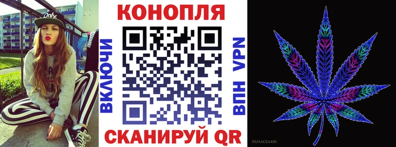 Каннабис сатива  Лабинск 